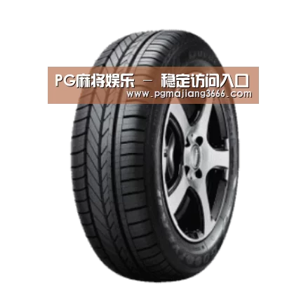 PG麻将娱乐产品名称一