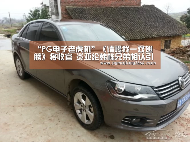 PG麻将网页版入口