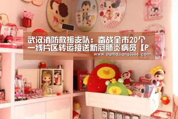 武汉消防救援支队:奋战全市20个一线片区转运接送新冠肺炎病员【PG麻将网页版入口】(图2) PG麻将娱乐