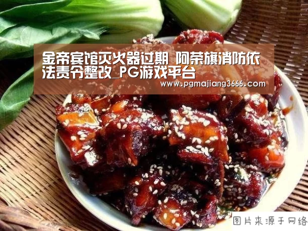 金帝宾馆灭火器过期 阿荣旗消防依法责令整改_PG游戏平台(图1) PG麻将网页版入口