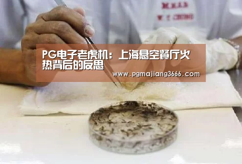PG电子老虎机