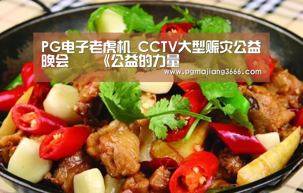 PG电子老虎机_CCTV大型赈灾公益晚会――《公益的力量(图3) PG电子老虎机