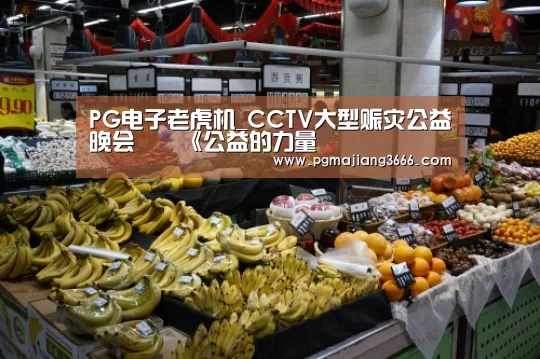 PG电子老虎机_CCTV大型赈灾公益晚会――《公益的力量(图1) PG麻将网页版入口