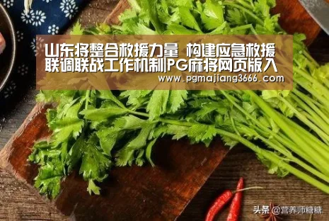山东将整合救援力量 构建应急救援联调联战工作机制|PG麻将网页版入口(图2) PG麻将娱乐