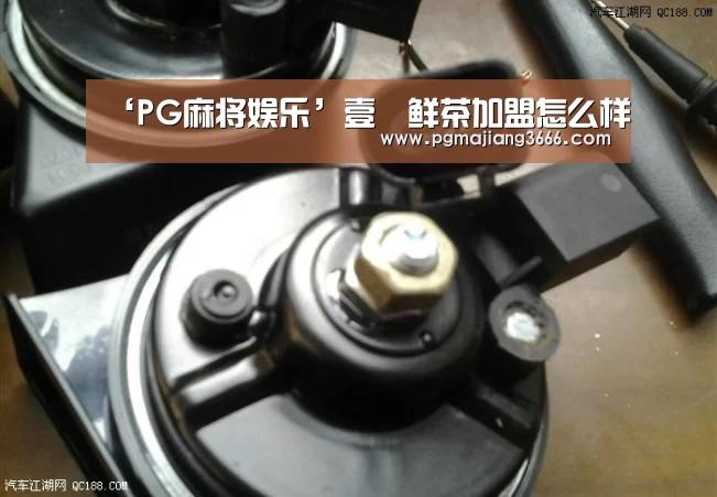 PG麻将网页版入口