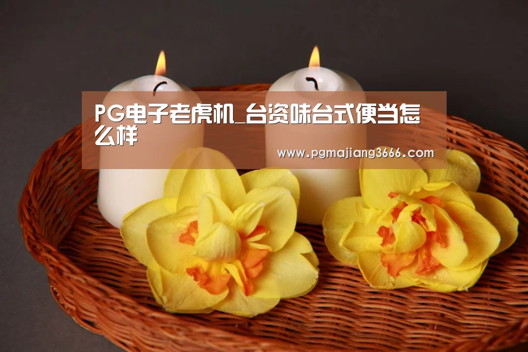 PG电子老虎机