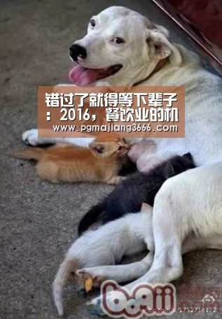 错过了就得等下辈子:2016,餐饮业的机会在这里!_PG游戏平台(图1) PG麻将网页版入口