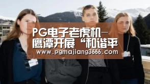 PG电子老虎机