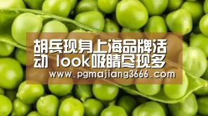 PG游戏平台