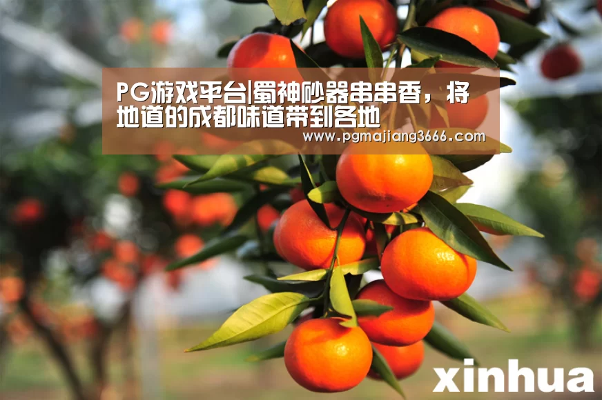 PG麻将娱乐