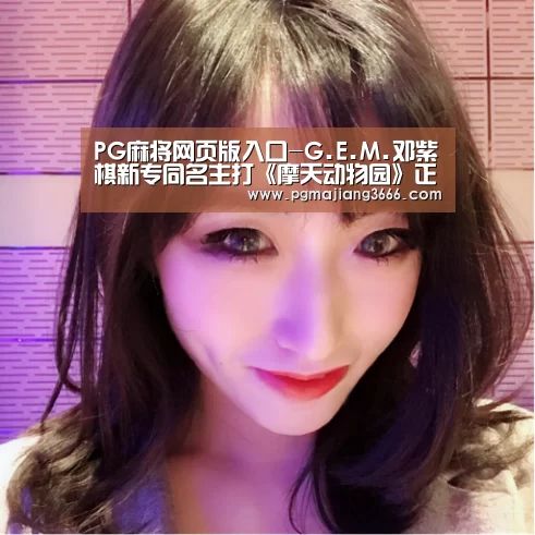 PG麻将网页版入口